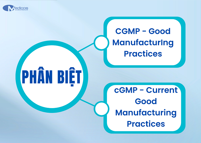 Phân biệt cGMP và GMP