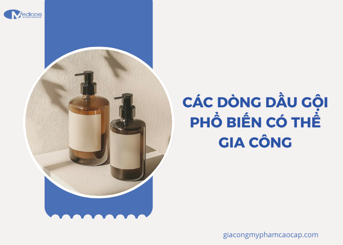 Những dòng dầu gội phổ biến nên chọn khi gia công 